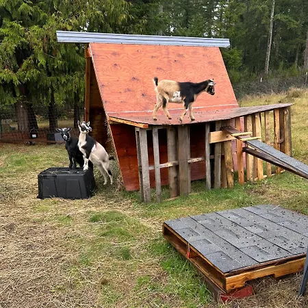 Hobby Farm With Goats And Views Of Horses Apartment Port Orchard Exterior photo