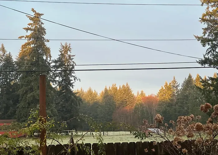 Hobby Farm With Goats And Views Of Horses