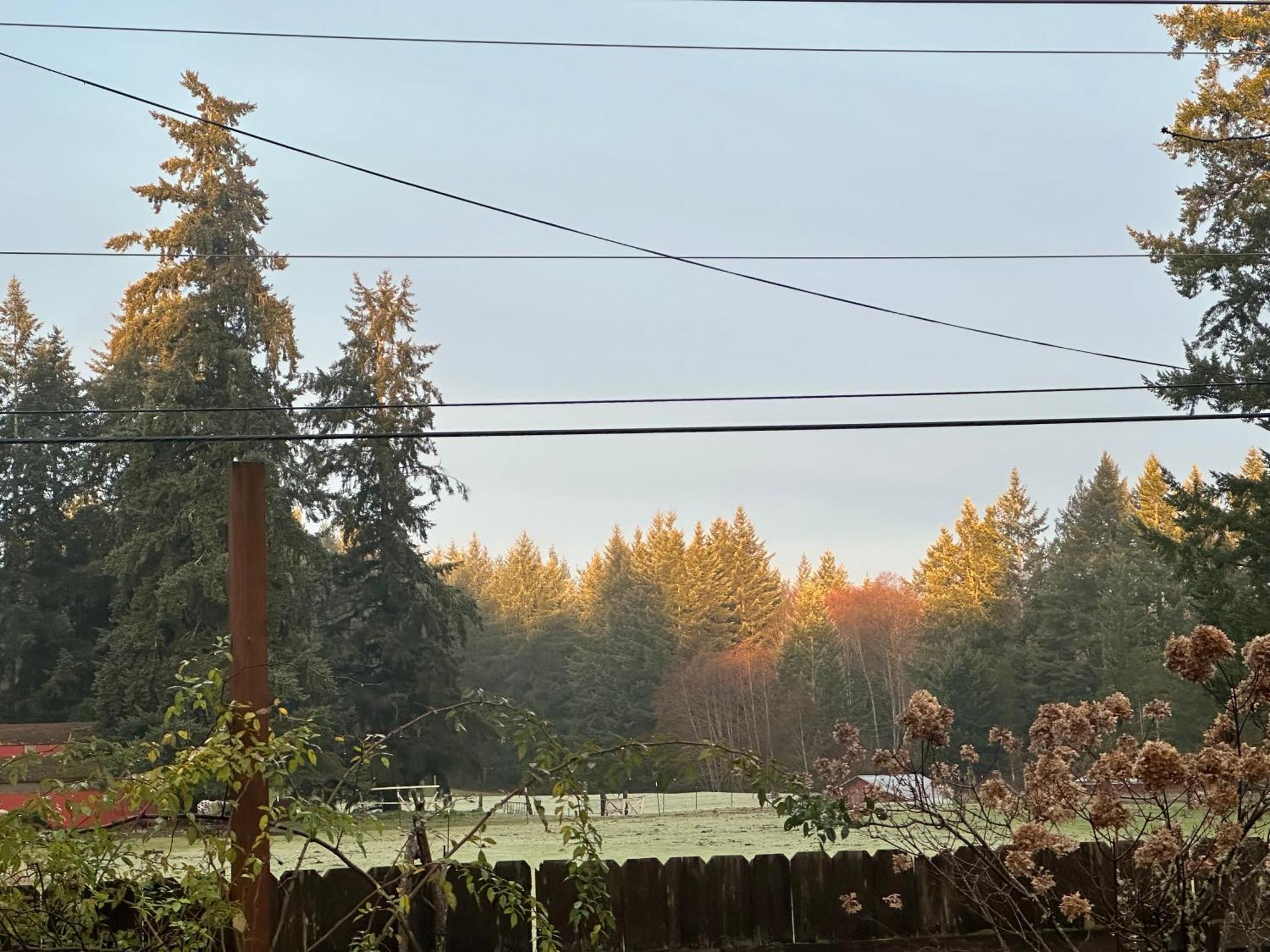 Hobby Farm With Goats And Views Of Horses * Port Orchard
